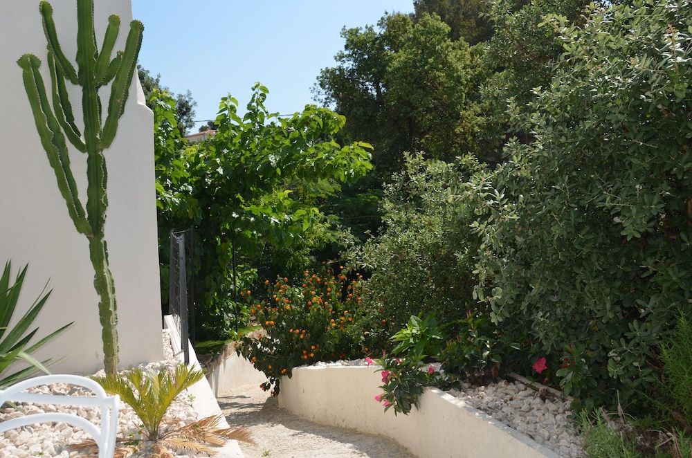 Allgemein