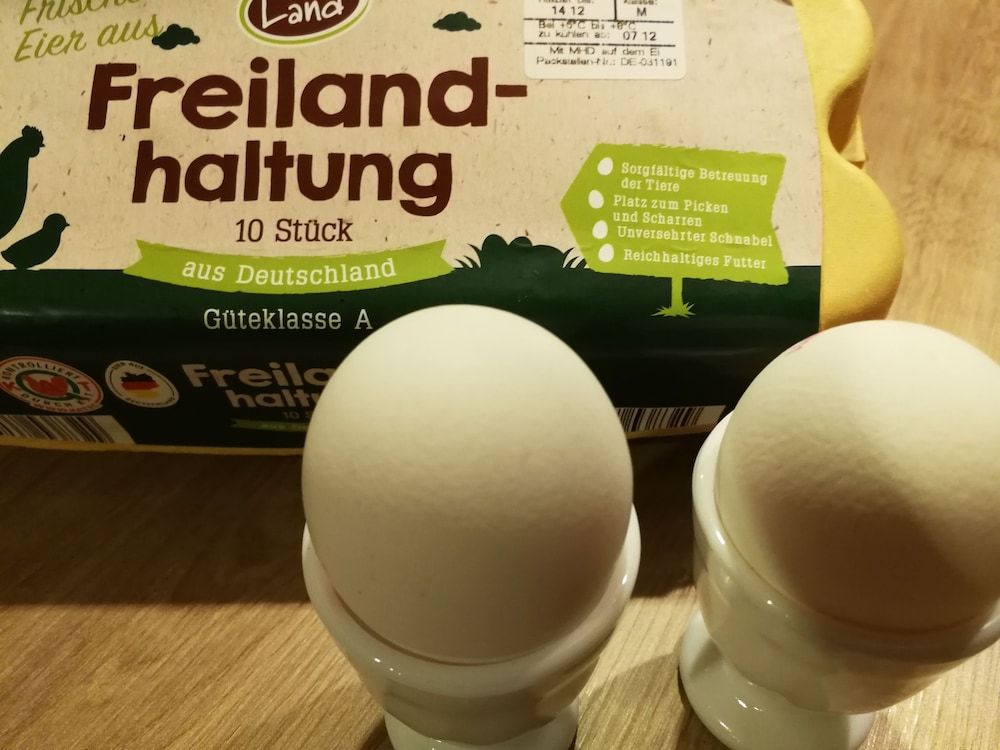 Allgemein