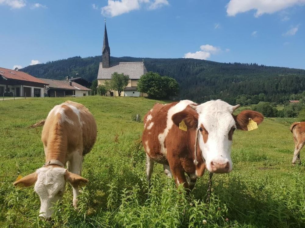 Allgemein