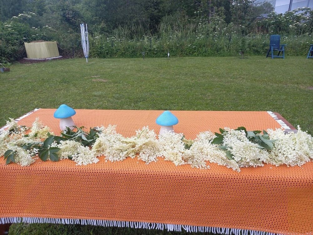 Allgemein