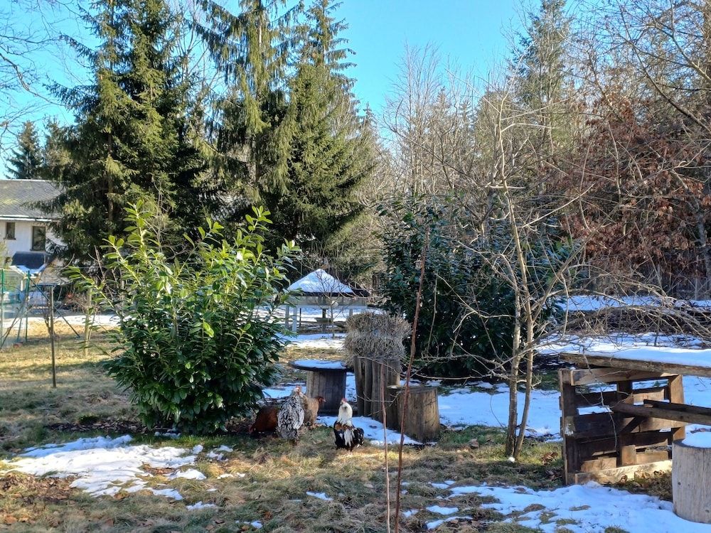 Allgemein