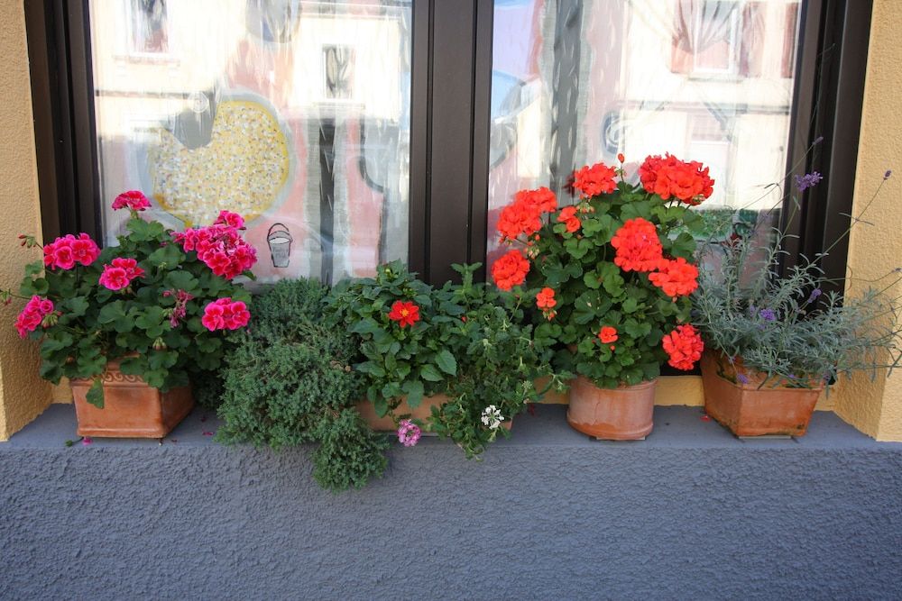 Allgemein