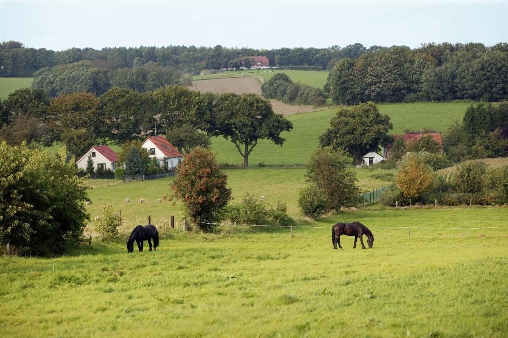 Umgebung