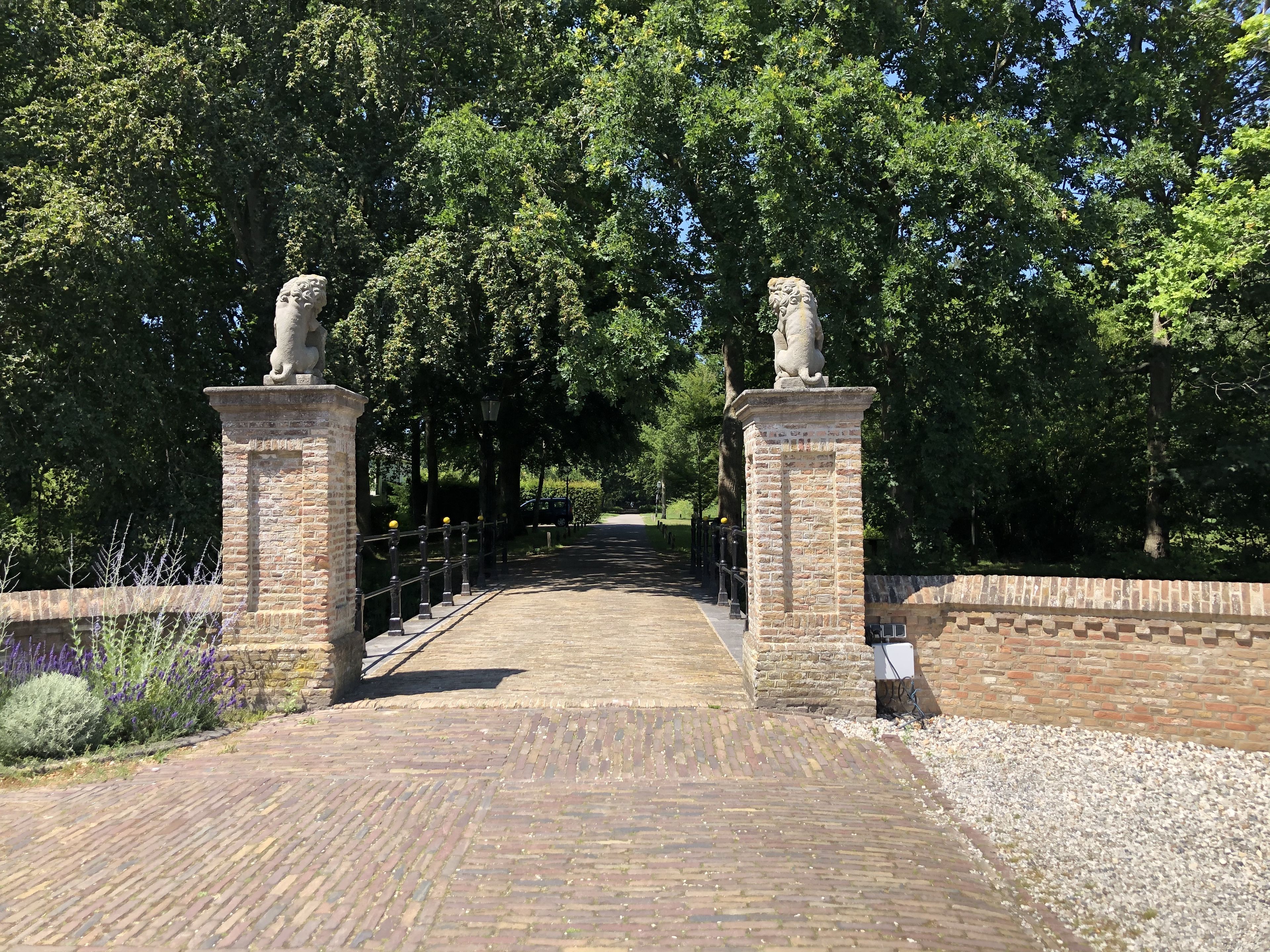 Allgemein