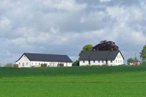 Fassade