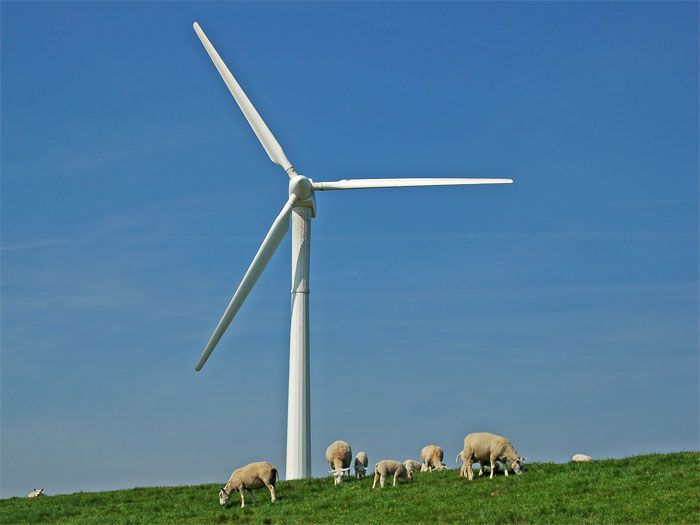 Umgebung