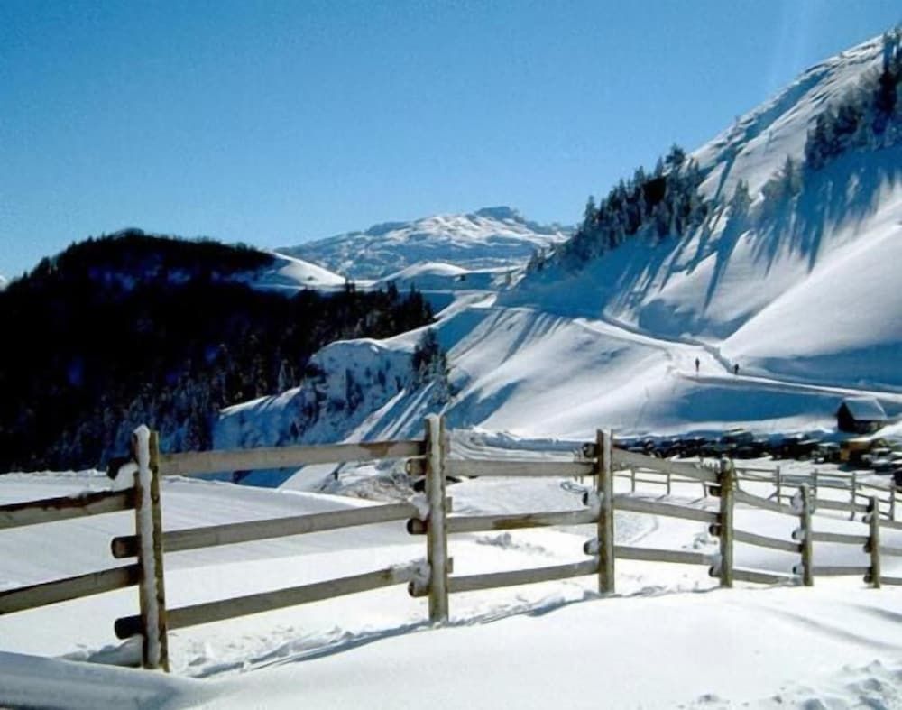 Allgemein
