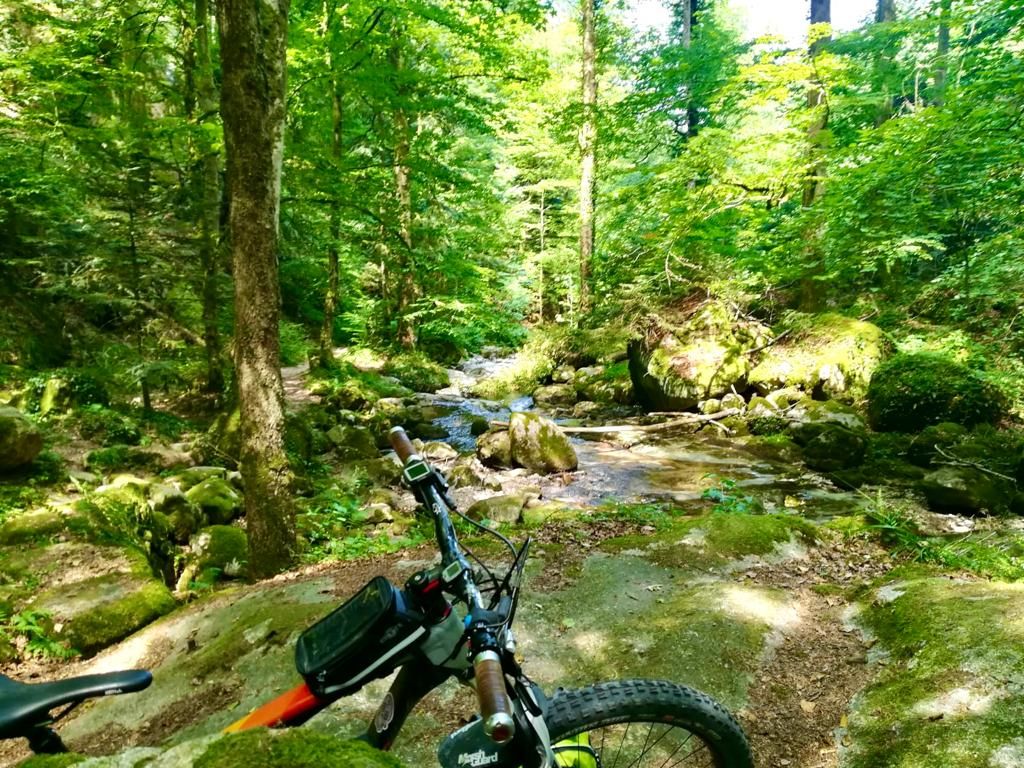 Umgebung