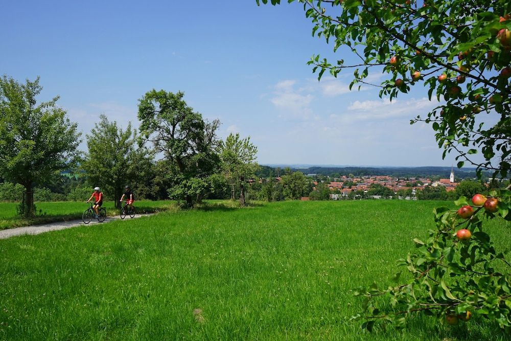 Allgemein