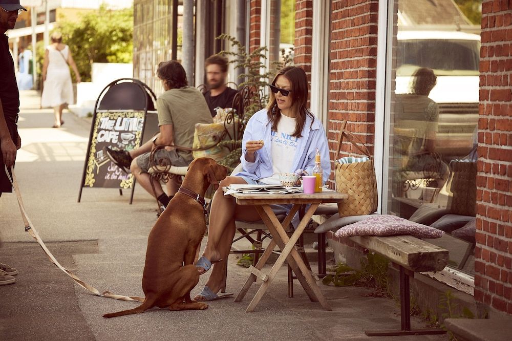 Allgemein