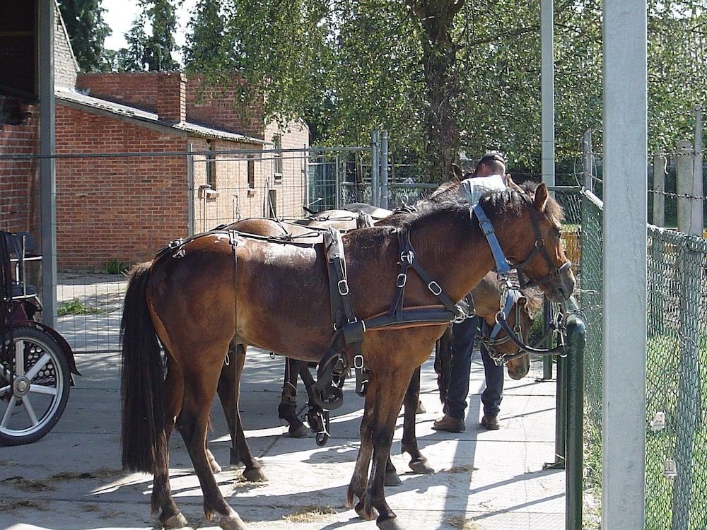 Allgemein