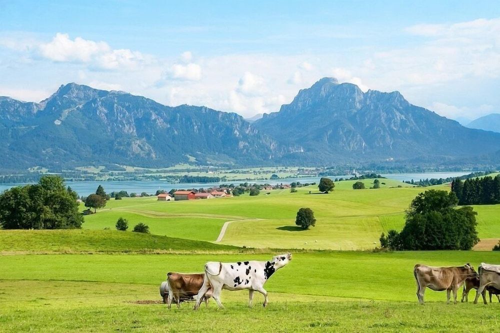 Allgemein