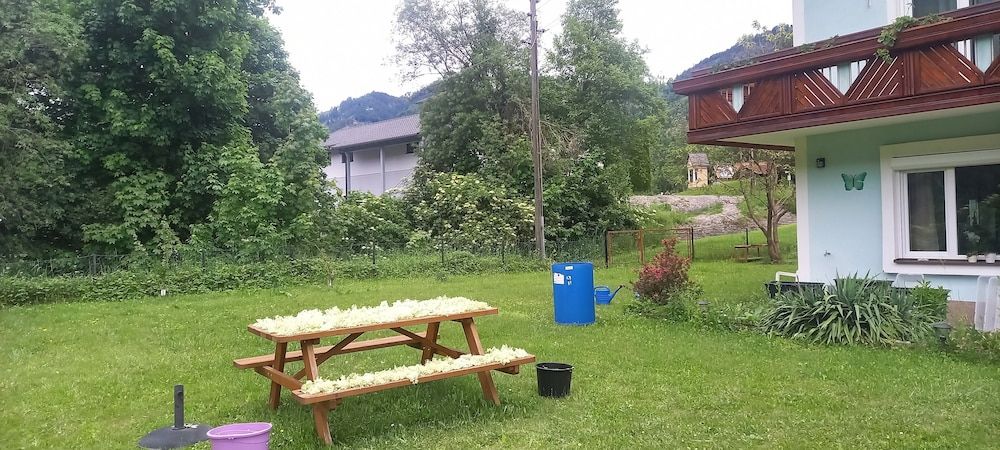 Allgemein