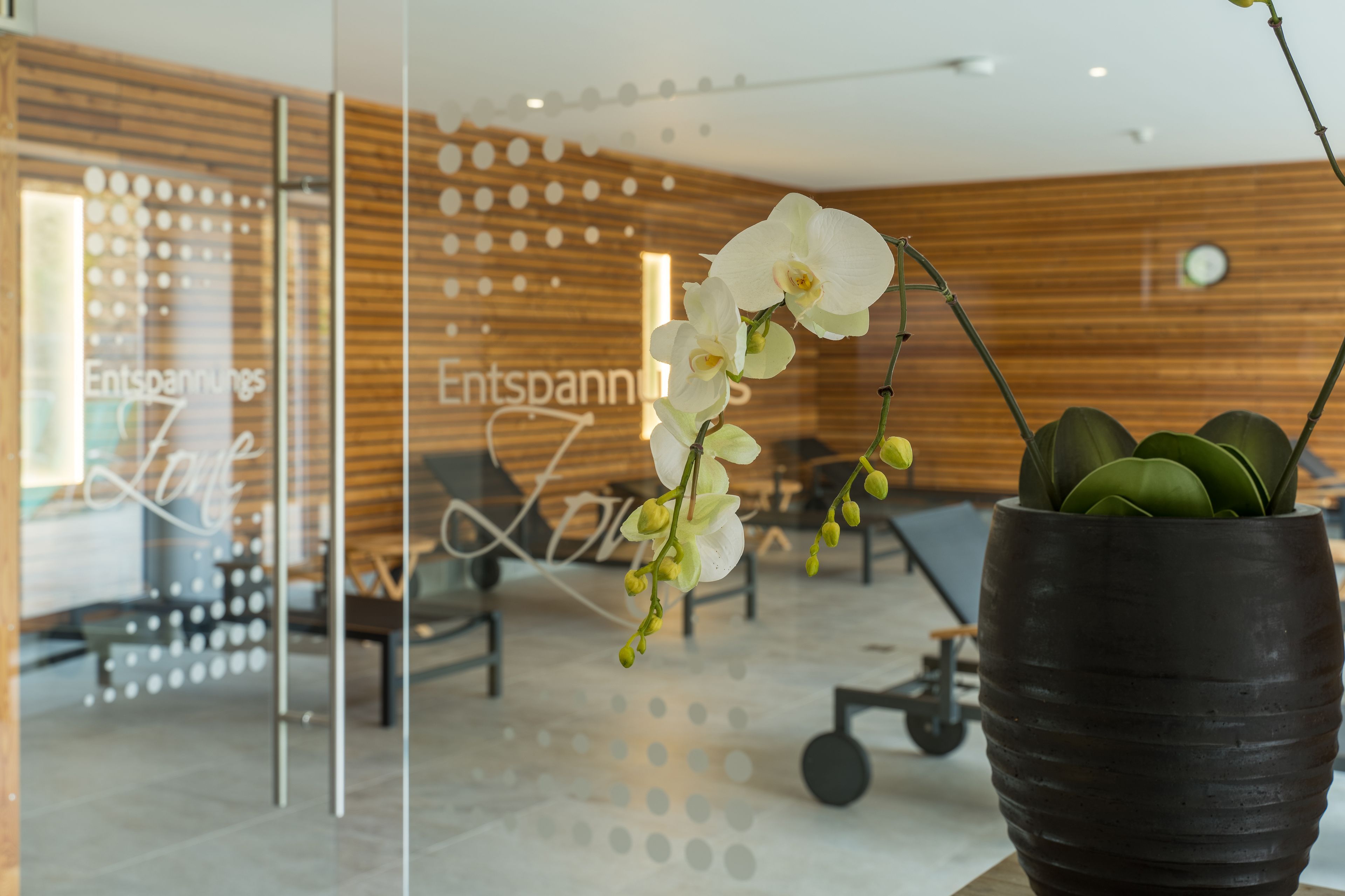 Wellness