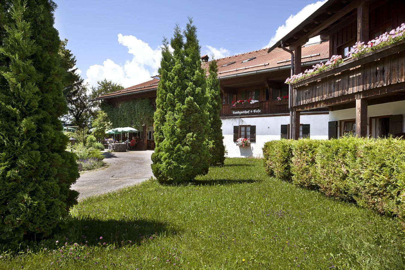 Hauptbilder