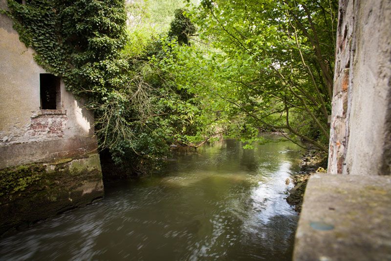 Umgebung