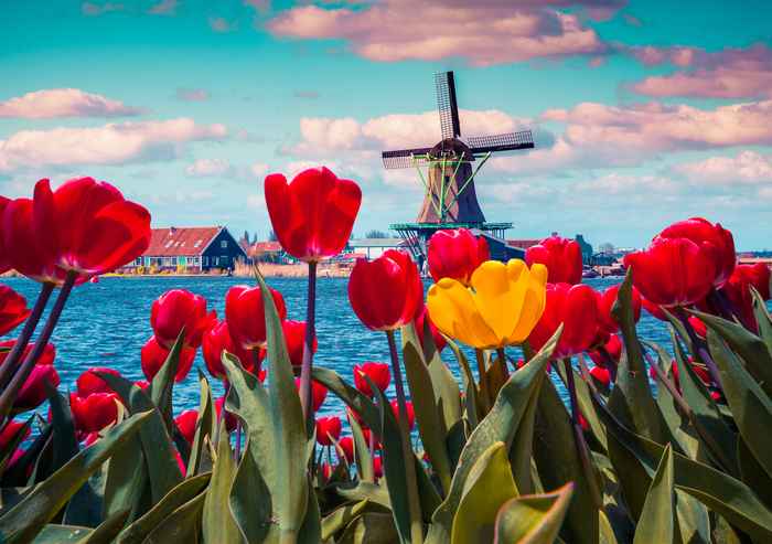 Last Minute nach Holland