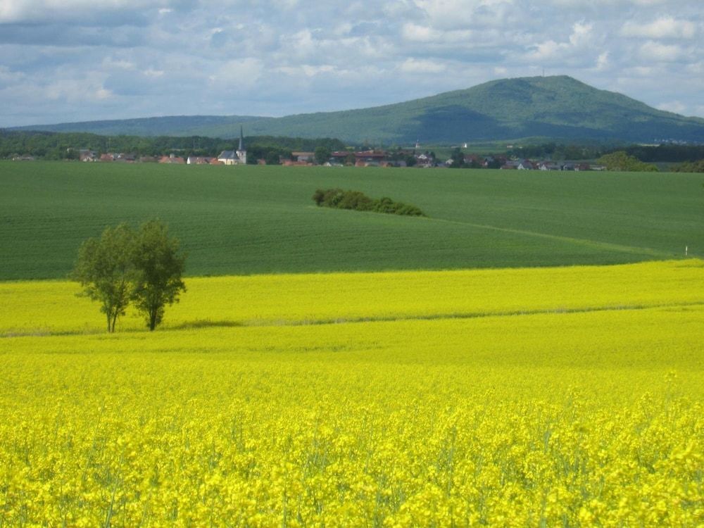 Allgemein