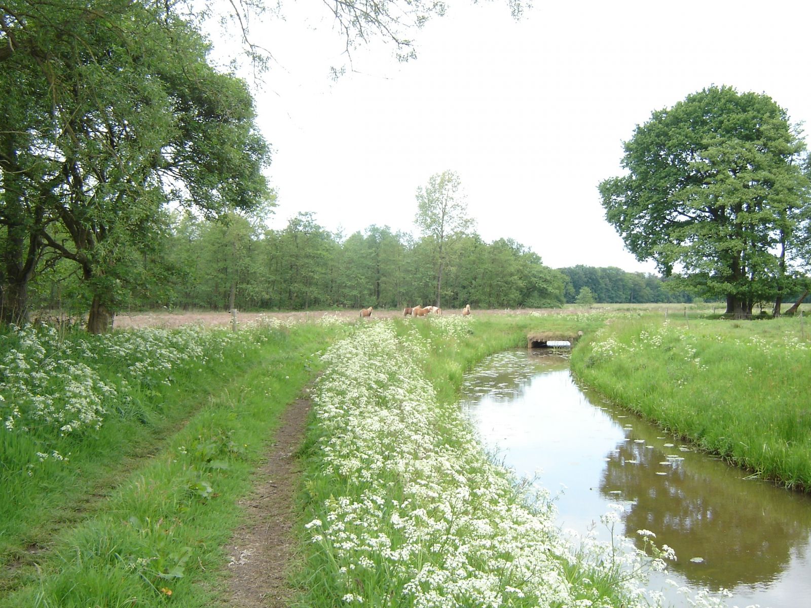 Umgebung