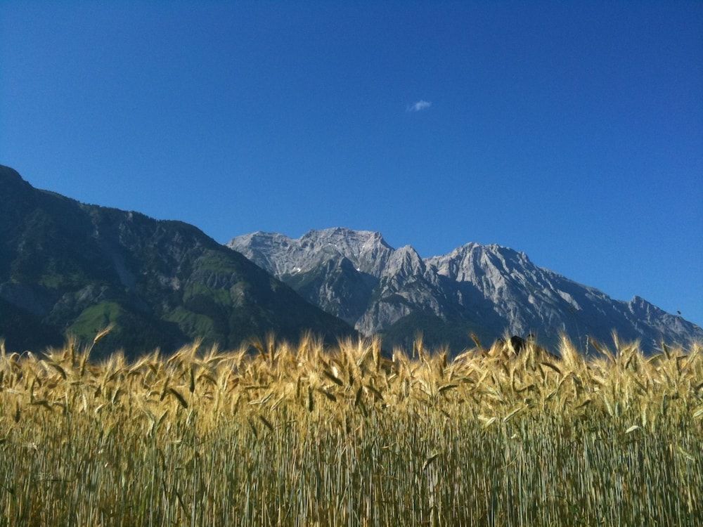 Allgemein