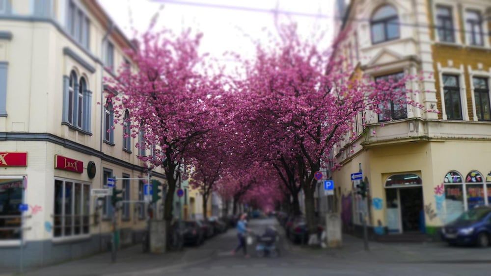 Allgemein