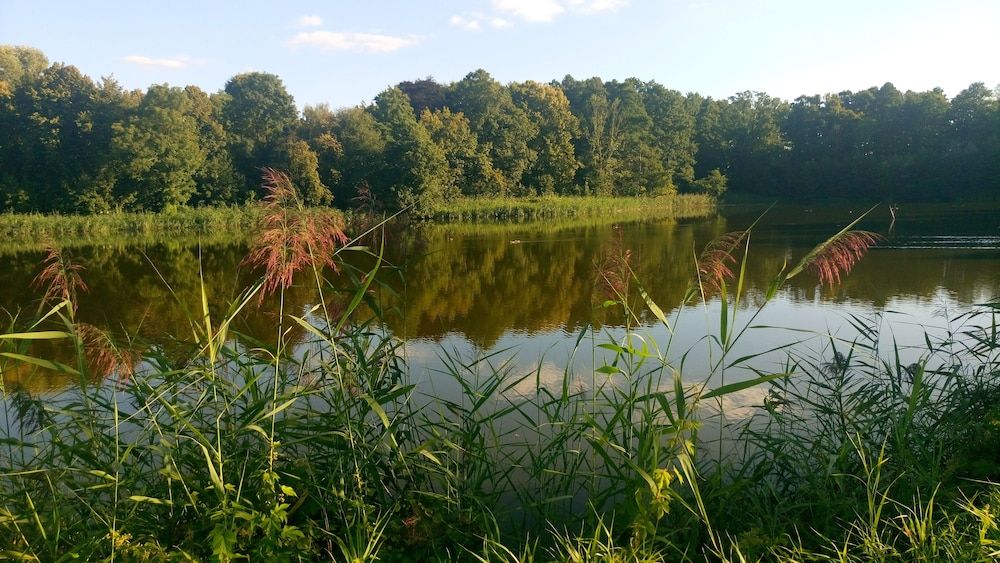 Allgemein