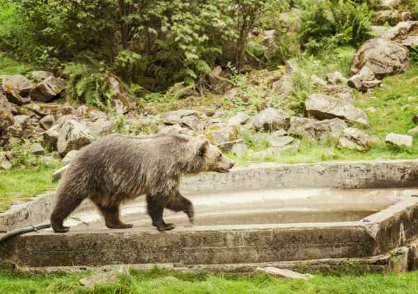 Hotels in der Nähe von Wildpark im Grafenberger Wald