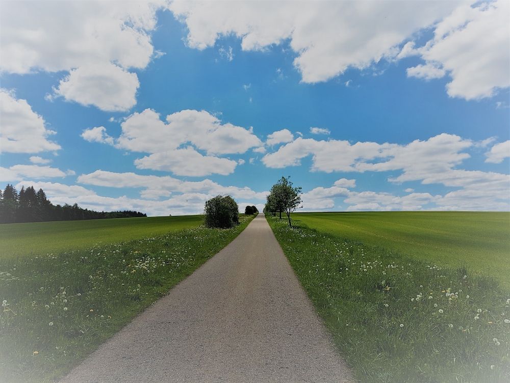Allgemein