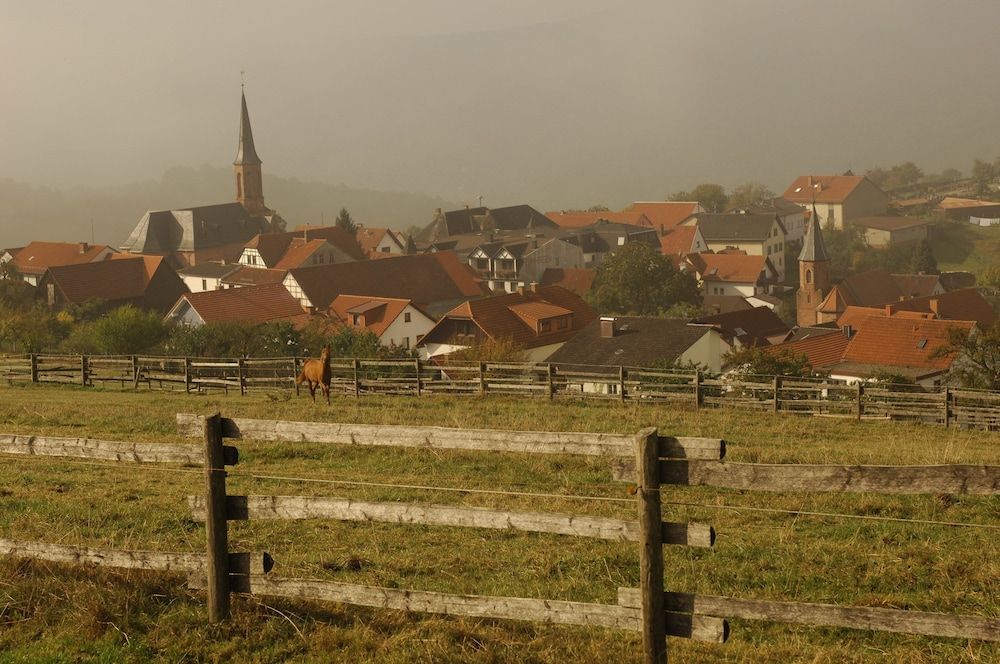 Allgemein