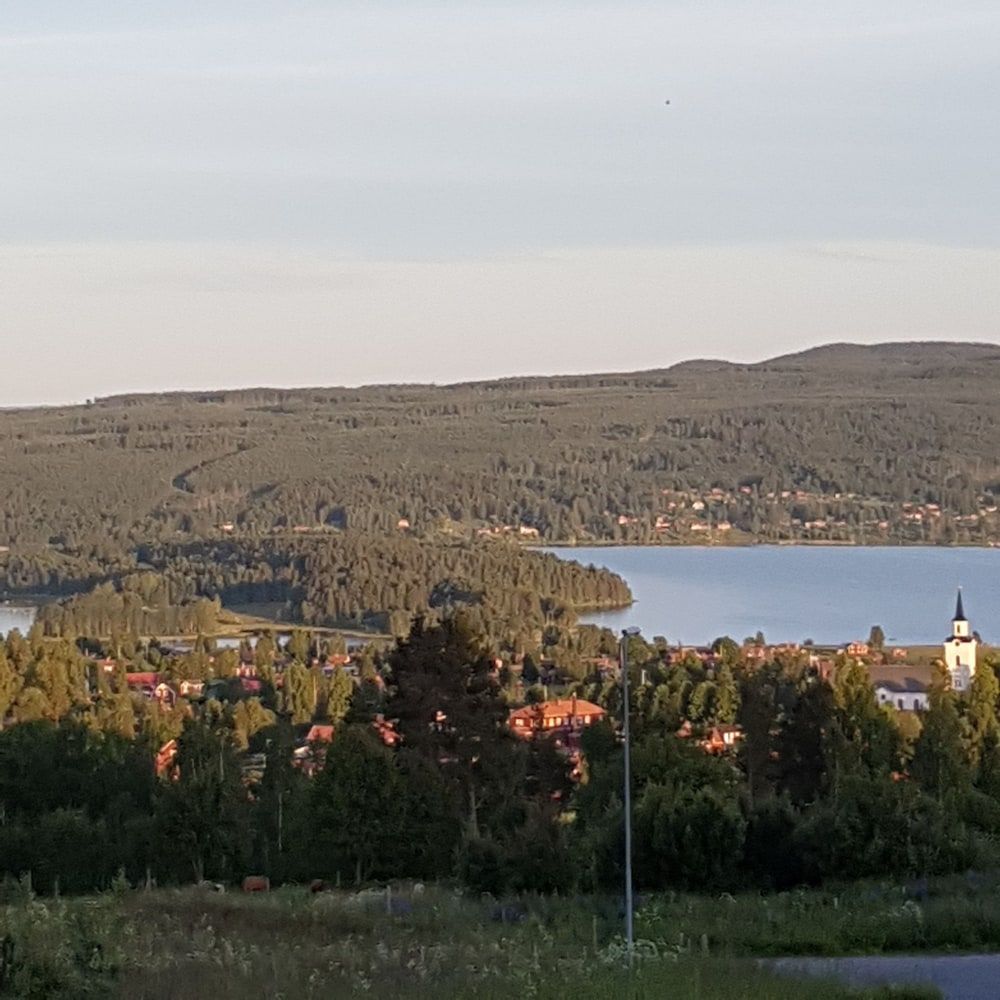 Allgemein