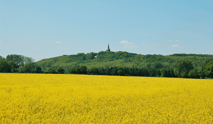 Umgebung