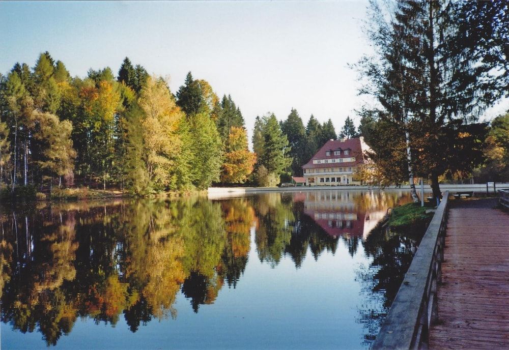 Allgemein