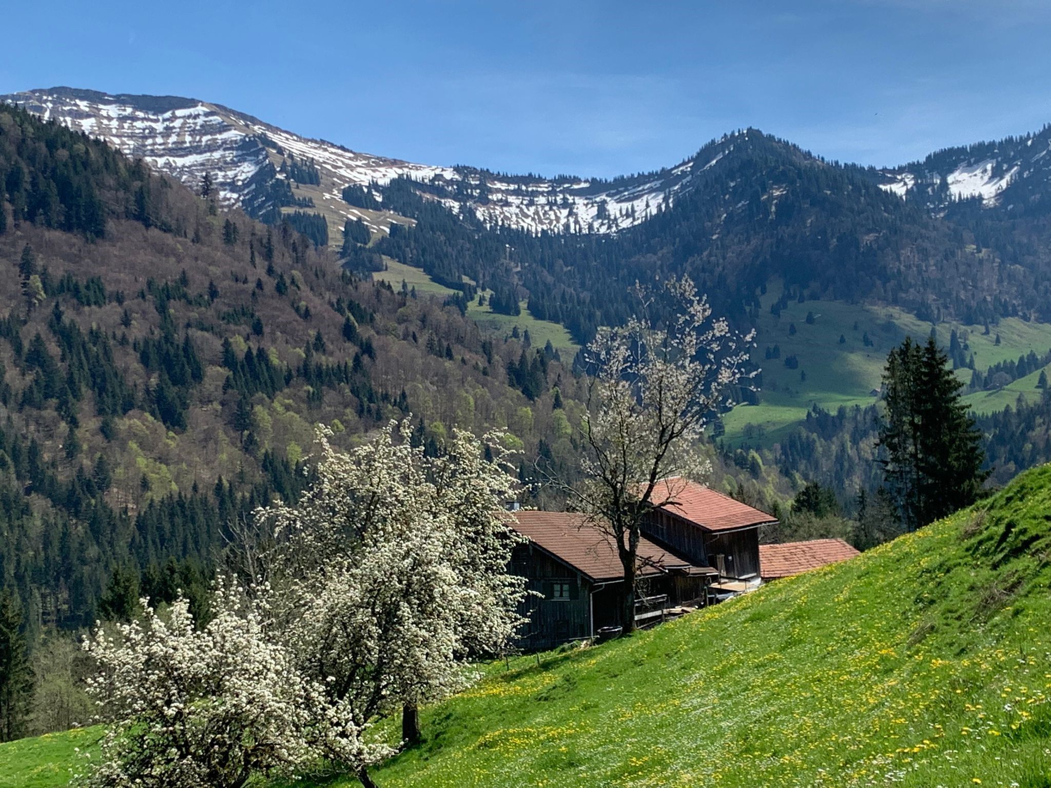Umgebung