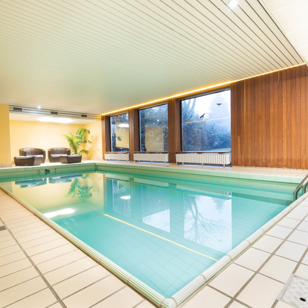 Wellness