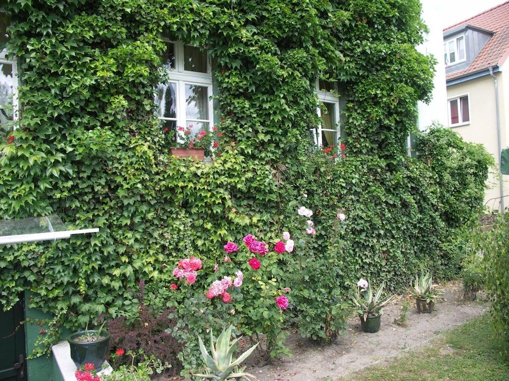 Allgemein