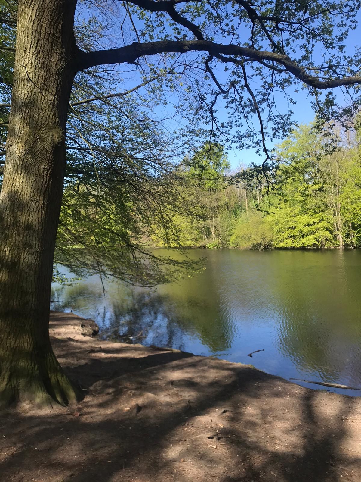 Umgebung